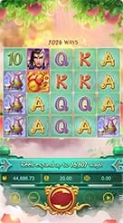 hijau · Lgd Monkey Kg